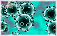 Orthocoronavirinae el virus de mutación múltiple