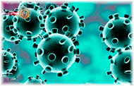 Orthocoronavirinae el virus de mutación múltiple (II)
